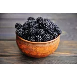 Organic & fair trade dried black mulberries from Uzbekistan