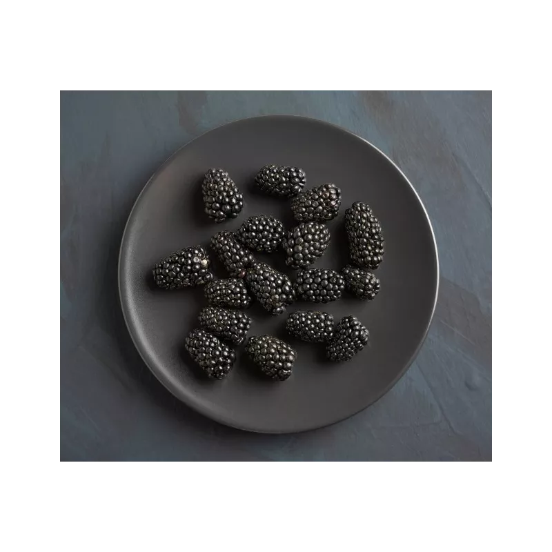 Organic & fair trade dried black mulberries from Uzbekistan