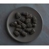 Organic & fair trade dried black mulberries from Uzbekistan