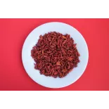 Baie de goji séchée bio du Tibet en Himalaya - Premium