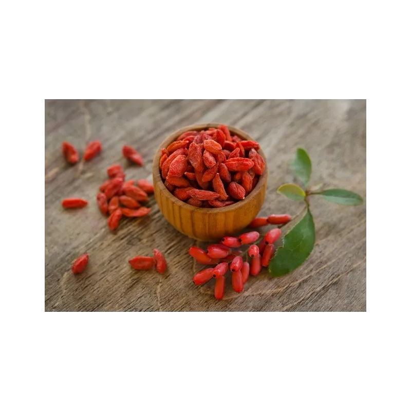Baie de goji séchée bio du Tibet en Himalaya - Premium