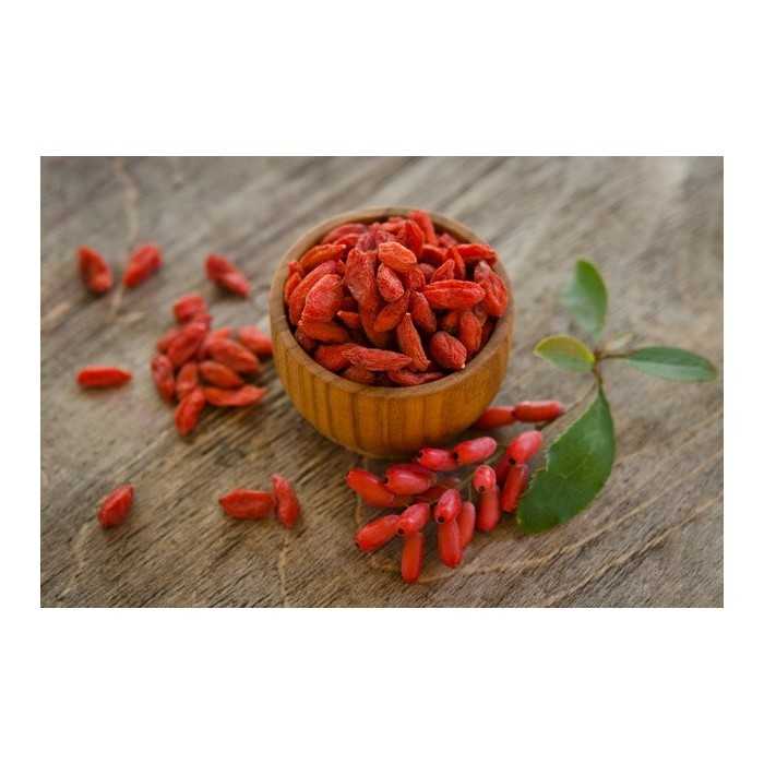 Organic dried goji berry from Tibet to the Himalayas - Premium