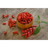 Baie de goji séchée bio du Tibet en Himalaya - Premium