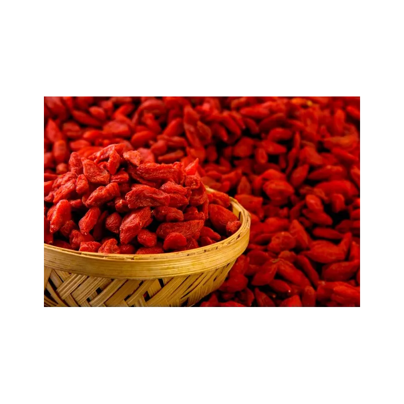 Baie de goji séchée bio du Tibet en Himalaya - Premium