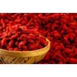 Baie de goji séchée bio du Tibet en Himalaya - Premium