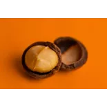 Organic Raw Macadamia Nuts from Australia - Direct producer