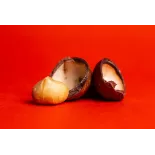 Organic Raw Macadamia Nuts from Australia - Direct producer