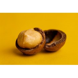Noix de Macadamia (originaire d'Australie) | Qualité supérieure | 500  grammes