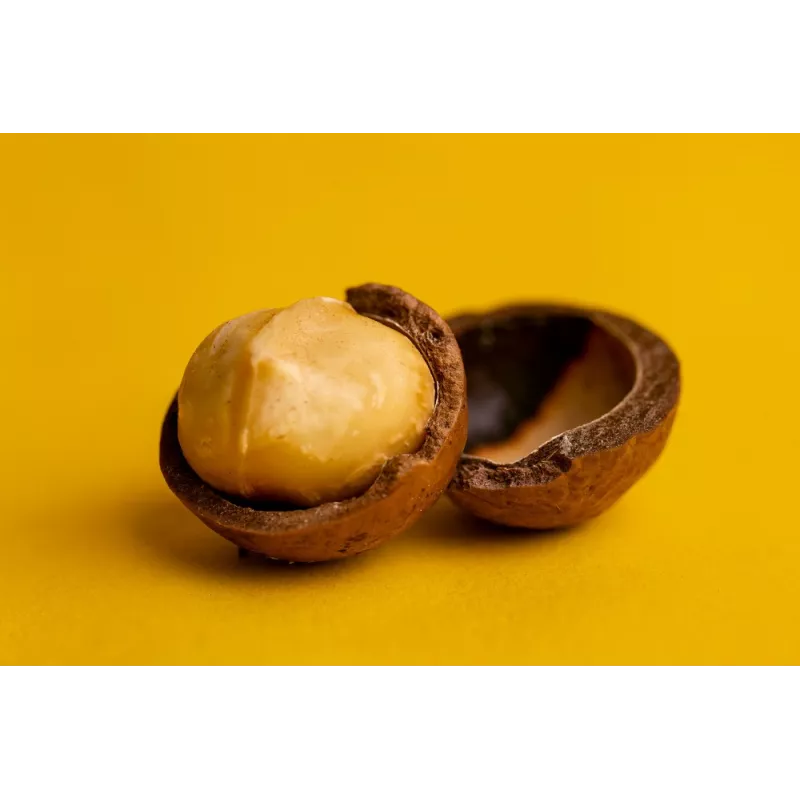 Organic Raw Macadamia Nuts from Australia - Direct producer