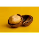 Noix de Macadamia crues bio d'Australie - Direct producteur