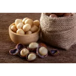 Organic Raw Macadamia Nuts from Australia - Direct producer