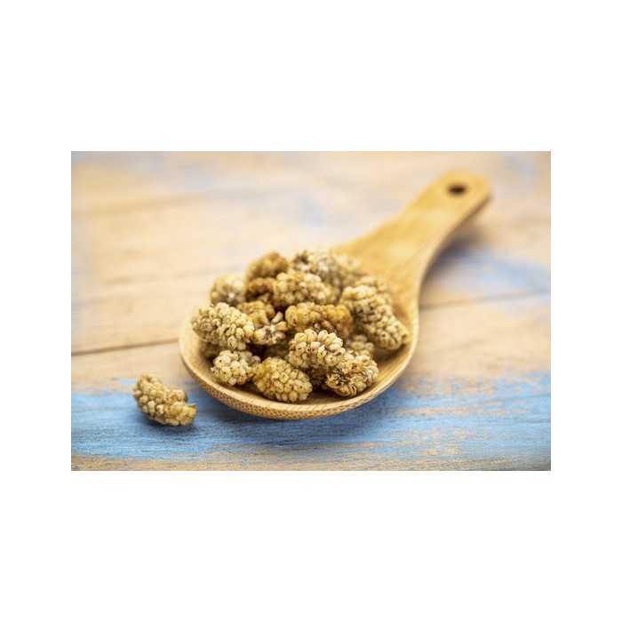 Organic & Fair Dried White Mulberries from Uzbekistan
