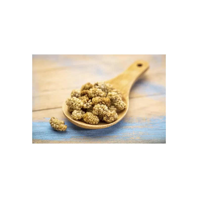 Organic & Fair Dried White Mulberries from Uzbekistan