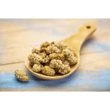 Organic & Fair Dried White Mulberries from Uzbekistan
