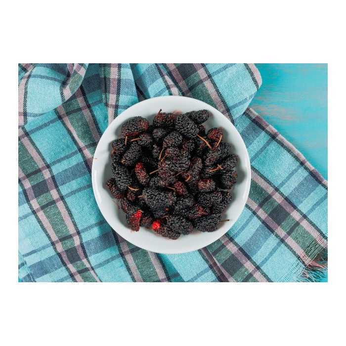 Organic & fair trade dried black mulberries from Uzbekistan
