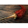 Organic & Fairtrade dried Bird's Tongue Or Pili-Pili From Kampot - ...