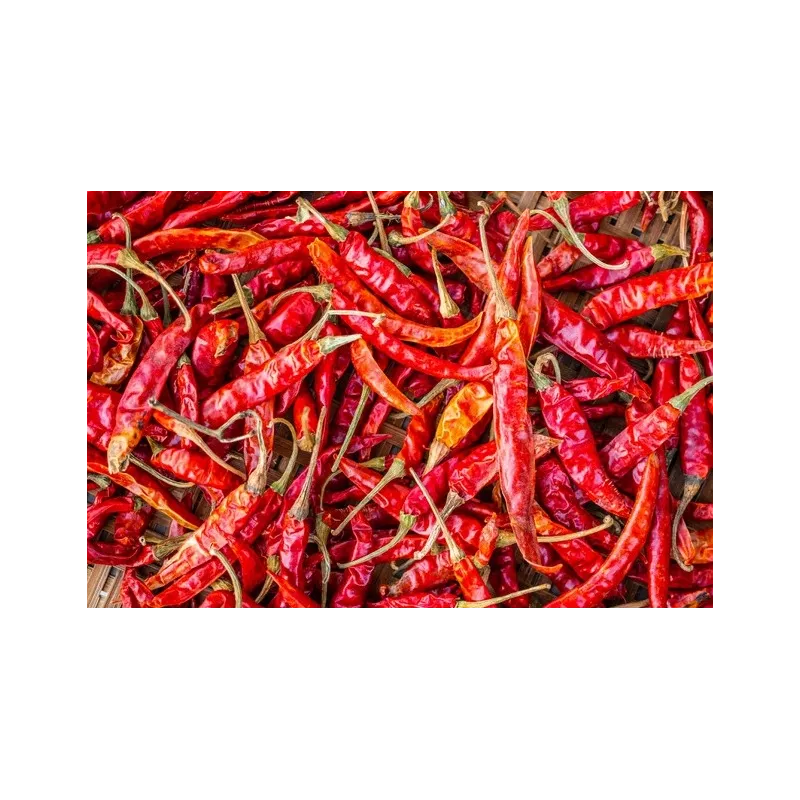 Piment Langue D'oiseau Ou Pili-Pili séché Entier Bio & Fairtrade De...