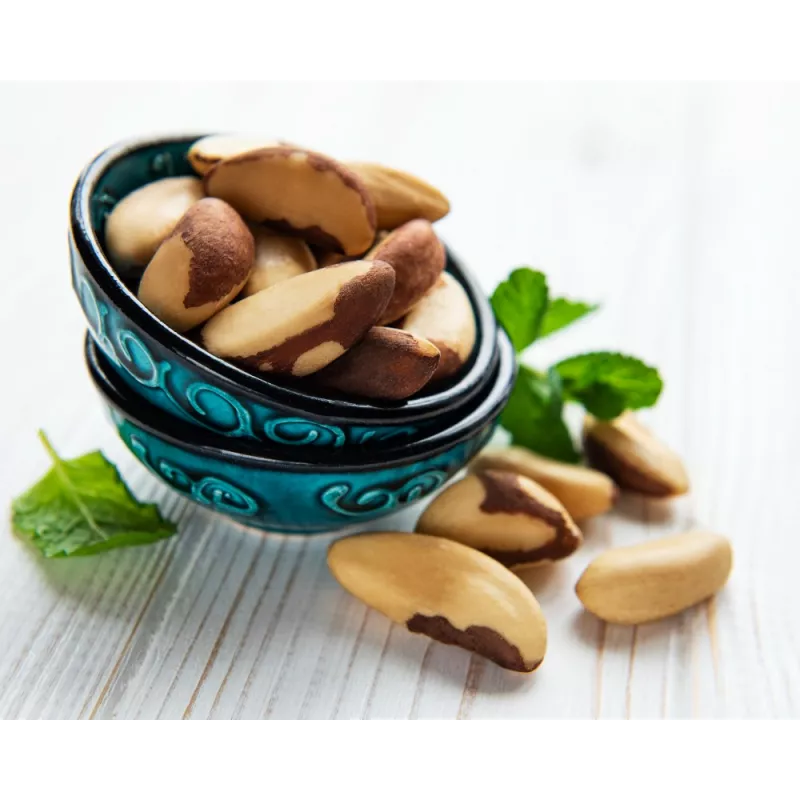 Organic & fair trade Brazil nuts whole wild & raw from Bolivia