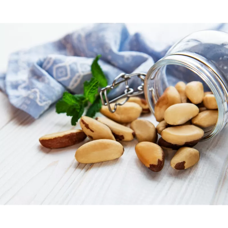 Organic & fair trade Brazil nuts whole wild & raw from Bolivia