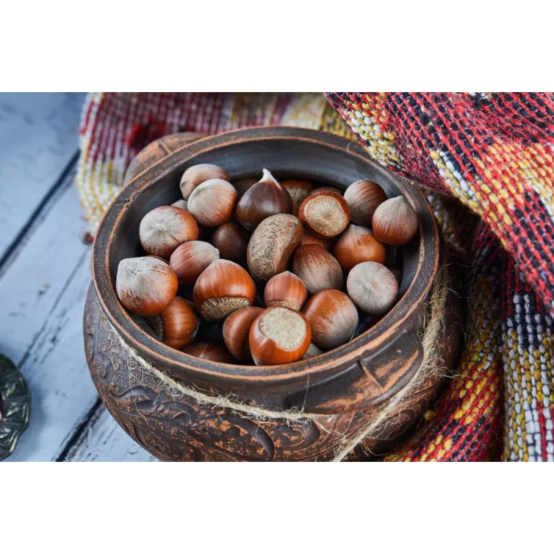 Organic hazelnuts in shell from Corsica - direct producer