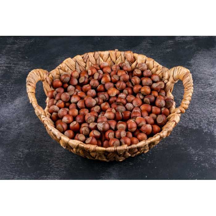 Organic hazelnuts in shell from Corsica - direct producer