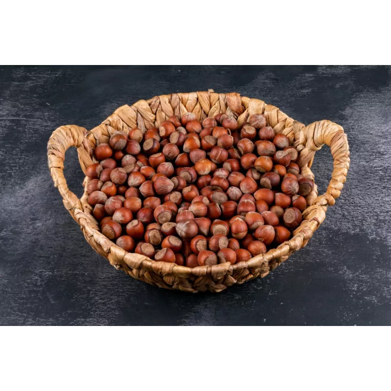 Organic hazelnuts in shell from Corsica - direct producer