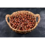 Organic hazelnuts in shell from Corsica - direct producer