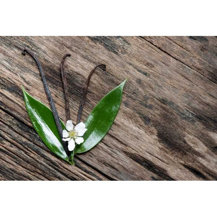 Organic & fairtrade Bourbon vanilla from Madagascar gourmet 14 / 17...