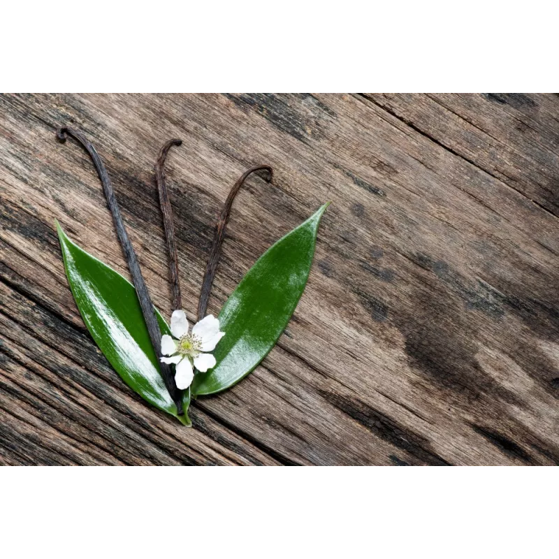 Vanille Bourbon de Madagascar gourmet 14/17cm bio & équitable - 3 G...