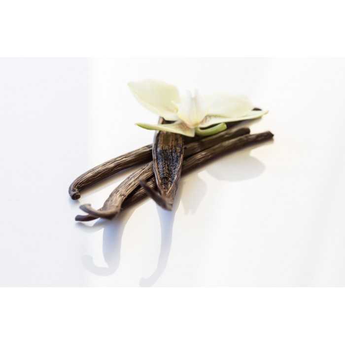 Organic & fairtrade Bourbon vanilla from Madagascar gourmet 14 / 17...