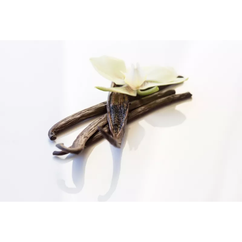 Vanille Bourbon de Madagascar gourmet 14/17cm bio & équitable - 3 G...