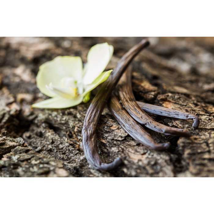 Organic & fairtrade Bourbon vanilla from Madagascar gourmet 14 / 17...
