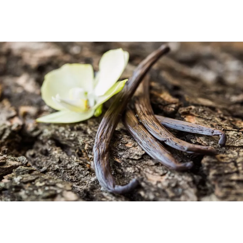 Vanille Bourbon de Madagascar gourmet 14/17cm bio & équitable - 3 G...