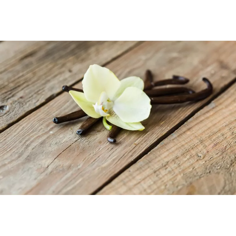 Vanille Bourbon de Madagascar gourmet 14/17cm bio & équitable - 3 G...