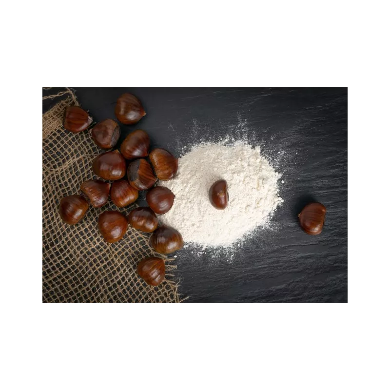 Organic chestnut flour PDO from Ardèche gluten free - Direct producer