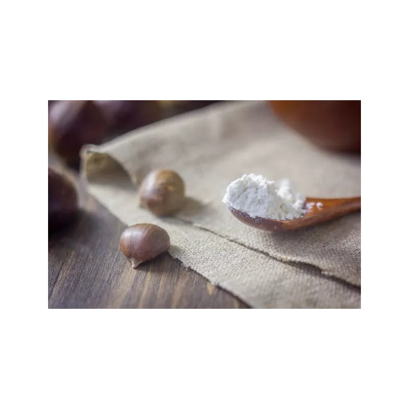 Organic chestnut flour PDO from Ardèche gluten free - Direct producer