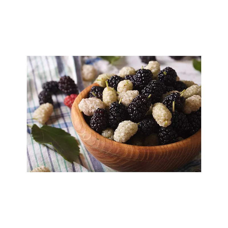 Organic & fair trade dried black & white mulberries from Uzbekistan