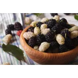 Organic & fair trade dried black & white mulberries from Uzbekistan