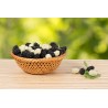 Organic & fair trade dried black & white mulberries from Uzbekistan