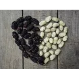Organic & fair trade dried black & white mulberries from Uzbekistan