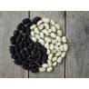 Organic & fair trade dried black & white mulberries from Uzbekistan