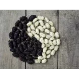 Organic & fair trade dried black & white mulberries from Uzbekistan