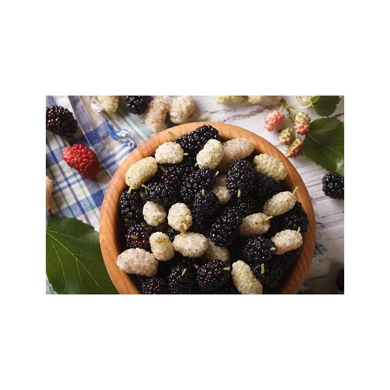Organic & fair trade dried black & white mulberries from Uzbekistan