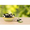 Organic & fair trade dried black & white mulberries from Uzbekistan