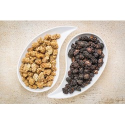 Mulberries noires & blanches séchées bio & équitables d'Ouzbékistan