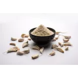 Organic garlic in semolina from France