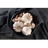 Smoked Garlic PGI from Arleux - Direct Producer