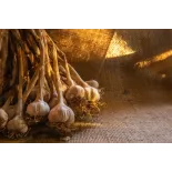 Ail fumé IGP d'Arleux - Direct Producteur