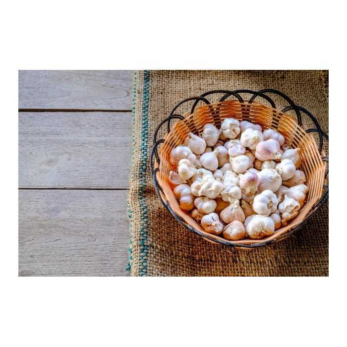 Organic smoked garlic from France