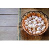 Organic smoked garlic from France